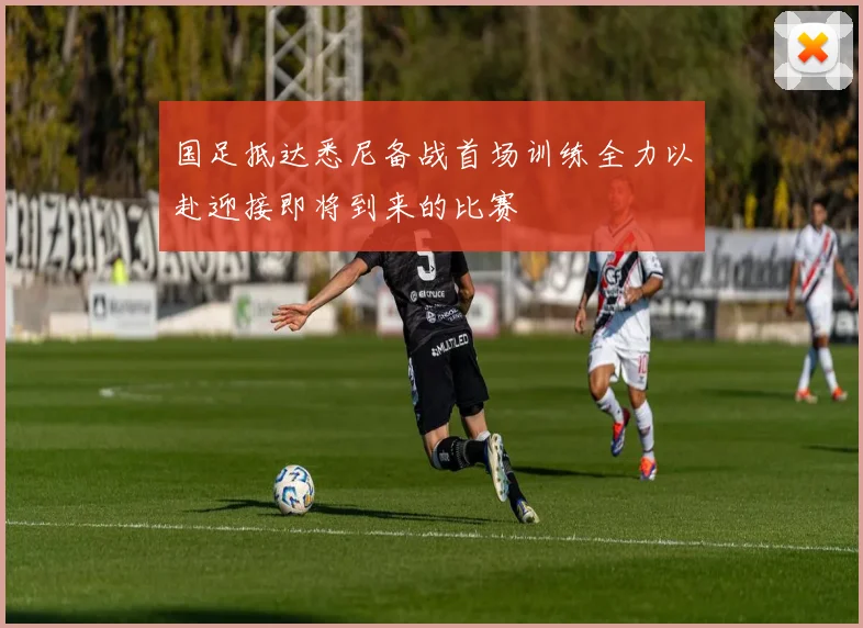 国足抵达悉尼备战首场训练全力以赴迎接即将到来的比赛